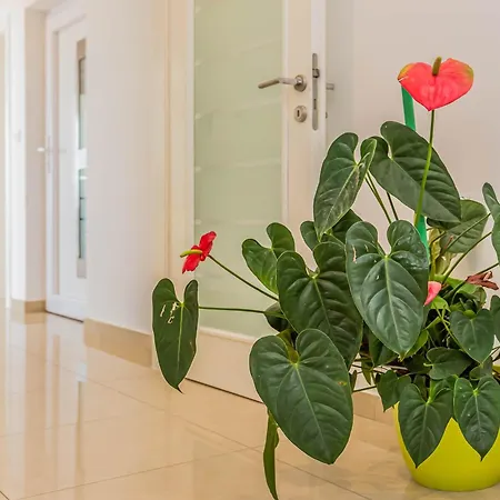 Villa Astera- Sea View *